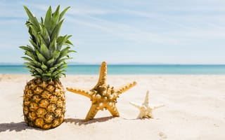 Картинка песок, пляж, pineapple, лето, vacation, каникулы, sand, отдых, summer, sea, ананас, starfish, звезда, beach, море