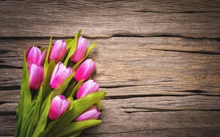 Картинка цветы, розовые, pink, spring, wood, tulips, flowers, тюльпаны, beautiful