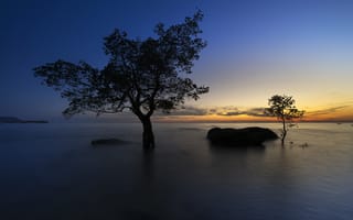 Картинка деревья, закат, зарево, камни, озеро