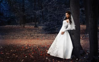 Обои стиль, парк, свадьба, невеста, платье