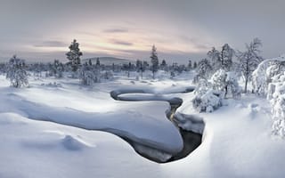 Картинка лес, природа, зима, река, снег