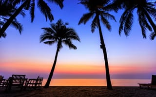 Картинка песок, море, пальмы, seascape, берег, закат, sunset, summer, пляж, sand, sea, волны, beautiful, силуэт, лето, beach