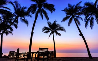 Картинка песок, море, пальмы, beautiful, закат, пляж, sunset, лето, seascape, sand, summer, берег, силуэт, beach, sea, волны