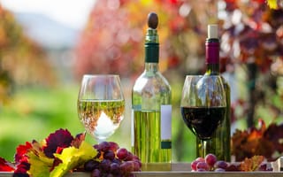 Обои бутылки, вино, осень, белое, виноград, листья, красное, бокалы