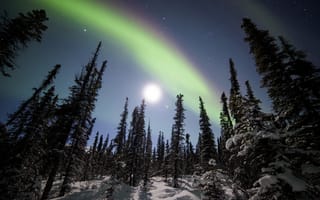 Картинка Denali National Park, снег, Аляска, северное сияние, зима, лес, Национальный парк Денали, Alaska, звёзды, ели, деревья, звёздное небо