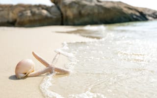 Картинка песок, море, beach, звезда, starfish, пляж, морская, summer, sea, sand