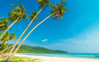 Картинка песок, море, лето, берег, beach, paradise, sand, волны, summer, пляж, seascape, пальмы, palms, sea, небо, beautiful