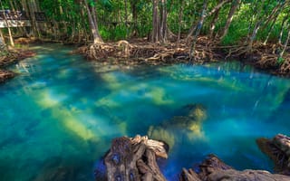 Картинка лес, озеро, lake, tree, beautiful, emerald, тропический, tropical, mangrove, forest, landscape, река, мангровый