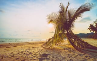 Картинка песок, море, beautiful, sand, paradise, seascape, лето, пляж, небо, sea, пальмы, beach, берег, summer, palms, волны