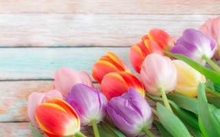 Картинка цветы, букет, colorful, тюльпаны, весна, бутоны, fresh, flowers