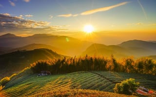 Картинка поле, лето, лучи, солнце, небо, пейзаж, облака, деревья