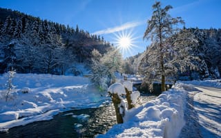 Картинка зима, река, ёлки, снег