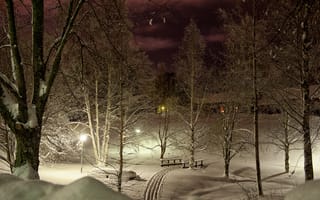 Картинка парк, лыжня, деревья, огни, снег, свет, ночь, зима