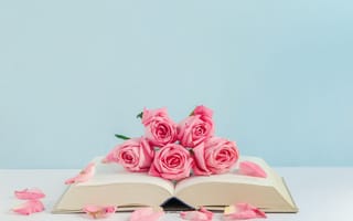 Картинка цветы, romantic, petals, розовые, cute, книга, бутоны, розы, pink, roses, flowers, лепестки