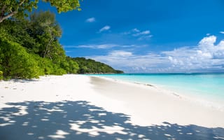 Картинка песок, palms, seascape, beautiful, волны, берег, пальмы, summer, пляж, качели, sand, beach, небо, tropical, море, paradise, sea, лето