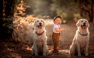 Картинка собаки, настроение, две собаки, мальчик, ребёнок