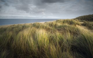 Картинка песок, море, природа, облака, пейзаж, трава, небо, пляж