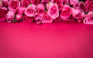 Картинка цветы, розы, roses, розовые, petals, бутоны, розовый, pink, romantic, flowers