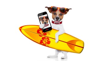 Картинка доски, серфинг, смартфон, юмор, белый, фотошоп, очки