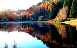Картинка природа, пейзаж, деревья, осень, листья, лес, озеро