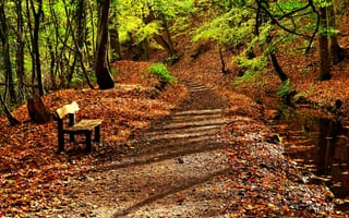 Картинка осень, дорога, вода, природа, листья, деревья, река