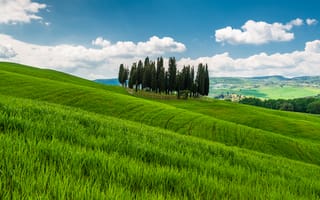 Картинка Италия, трава, деревья, горы, холмы, Тоскана