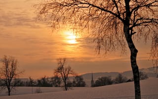 Картинка зима, закат, деревья
