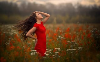 Картинка девушка, бриз, поле, в красном, ветер