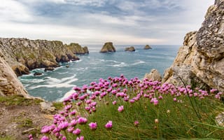Картинка море, лето, облака, камни, цветы, берег, побережье, скалы