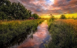 Картинка облака, отражение, Германия, закат, лето, поле, деревья, зелень, природа, река, пейзаж, трава