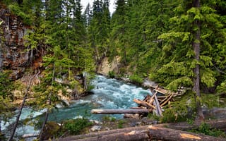 Картинка лес, деревья, бревно, река, камни, пороги, горы, природа