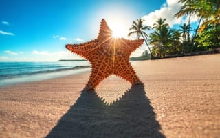 Картинка солнце, берег, Valentin Valkov, тропики, тень, океан, лучи, пальмы, звезда