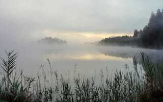 Картинка Бавария, сентябрьское утро, Германия, озеро Grossen Ostersee, туман