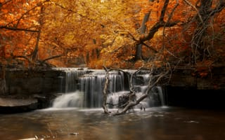 Картинка осень, река, водопад, лес