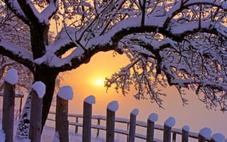 Картинка sky, небо, snow, пейзаж, зима, winter, снег, cool, nature, природа, sunset, beautiful, white, nice