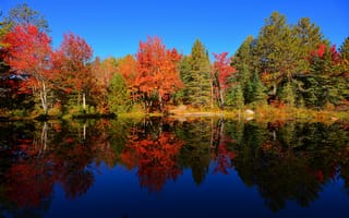 Картинка небо, деревья, осень, лес, отражение, пруд