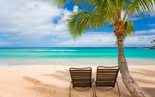 Картинка лето, пейзажи, океан, деревья, шезлонги, кресла, море, волны, пляж, вода, жара, берег, отдых, стулья, острова, настроение, пальмы