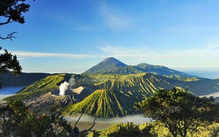 Картинка Mount Bromo, солнце, горы, небо, Surabaya, деревья, ветки, долина, вулканы, туман, Индонезия