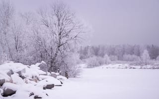 Картинка снег, пейзаж, сугробы, дерево, камень