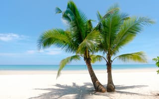 Обои песок, море, palms, seascape, beautiful, лето, небо, берег, sand, волны, paradise, sea, beach, summer, пальмы, пляж
