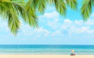 Обои песок, море, beautiful, пальмы, волны, небо, пляж, beach, palms, берег, paradise, summer, лето, sea, seascape, sand