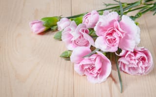 Картинка цветы, букет, romantic, beautiful, лепестки, pink, розовые, wood, flowers