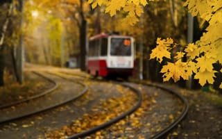 Картинка москва, листья, клен, осень, трамвай