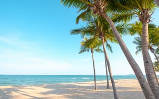 Картинка песок, море, берег, palms, sea, небо, beautiful, paradise, summer, пляж, seascape, лето, beach, sand, пальмы, волны