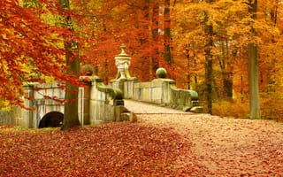Картинка осень, пейзаж, листья, природа, деревья, мост, лес