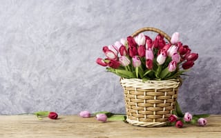 Картинка цветы, beautiful, flowers, romantic, pink, тюльпаны, love, tulips, корзинка, розовые, vintage, wood