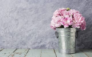 Картинка цветы, лепестки, розовые, wood, beautiful, pink, vintage, ведро, romantic, flowers