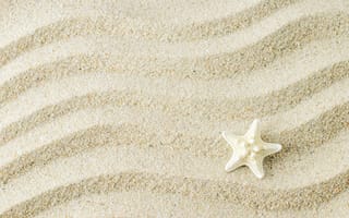 Обои песок, starfish, beach, sand, texture, marine, морская звезда