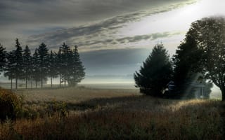 Обои туман, деревья, поле, утро, пейзаж