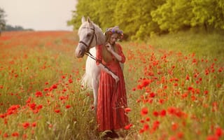Обои девушка, конь, природа, маки, поле, настроение